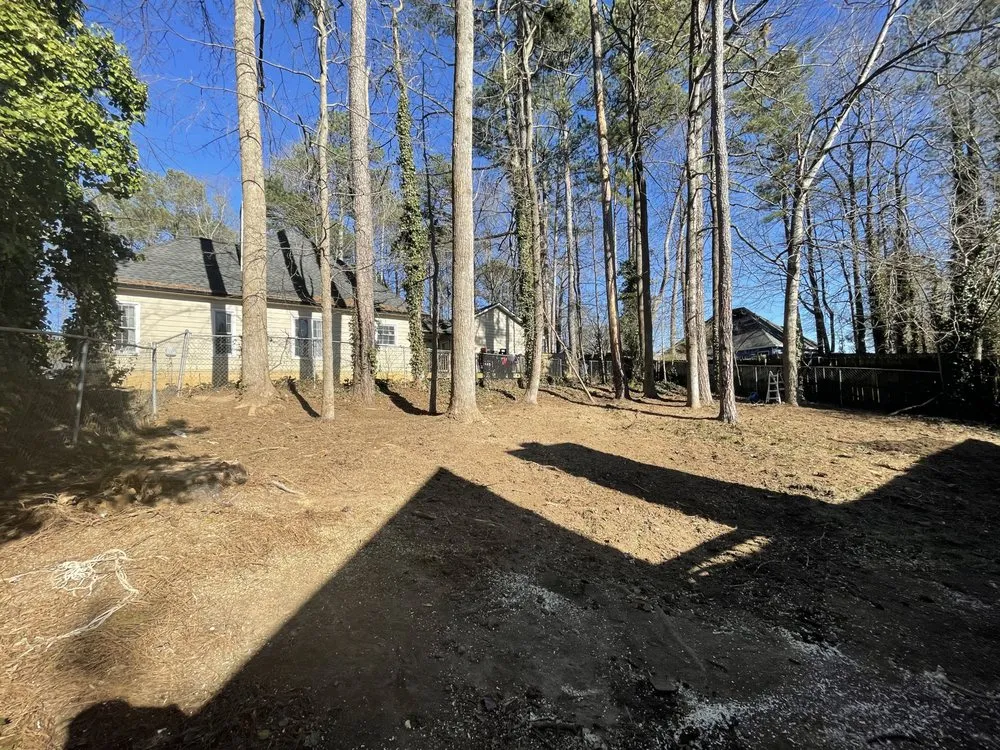 Top-rated lawn mowing service with custom design across Stone Mountain, GA - Fernando´s Tree Services