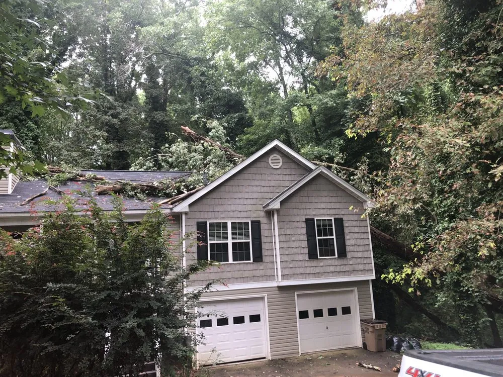 Local yard cleanup service for outdoor upgrades across Stone Mountain, GA - Fernando´s Tree Services