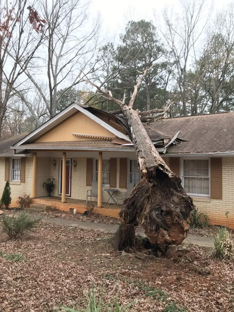 Local lawn mowing service for year-round maintenance across Stone Mountain, GA - Fernando´s Tree Services