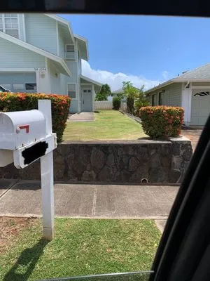 Fernandos Yard Maintenance