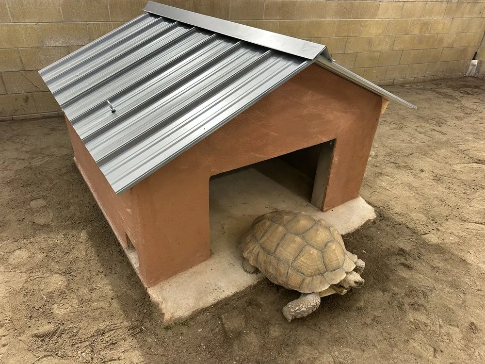 Custom yard cleanup service in Anaheim, CA by Fern's Complete Landscape & Construction Services