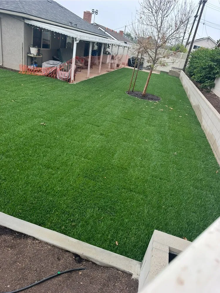 Trusted landscape design for year-round maintenance across Anaheim, CA - Fern's Complete Landscape & Construction Services