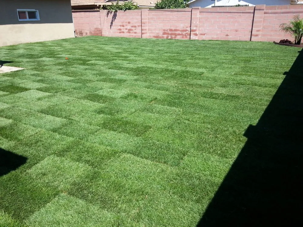 Expert garden landscaping with custom design across Anaheim, CA - Fern's Complete Landscape & Construction Services