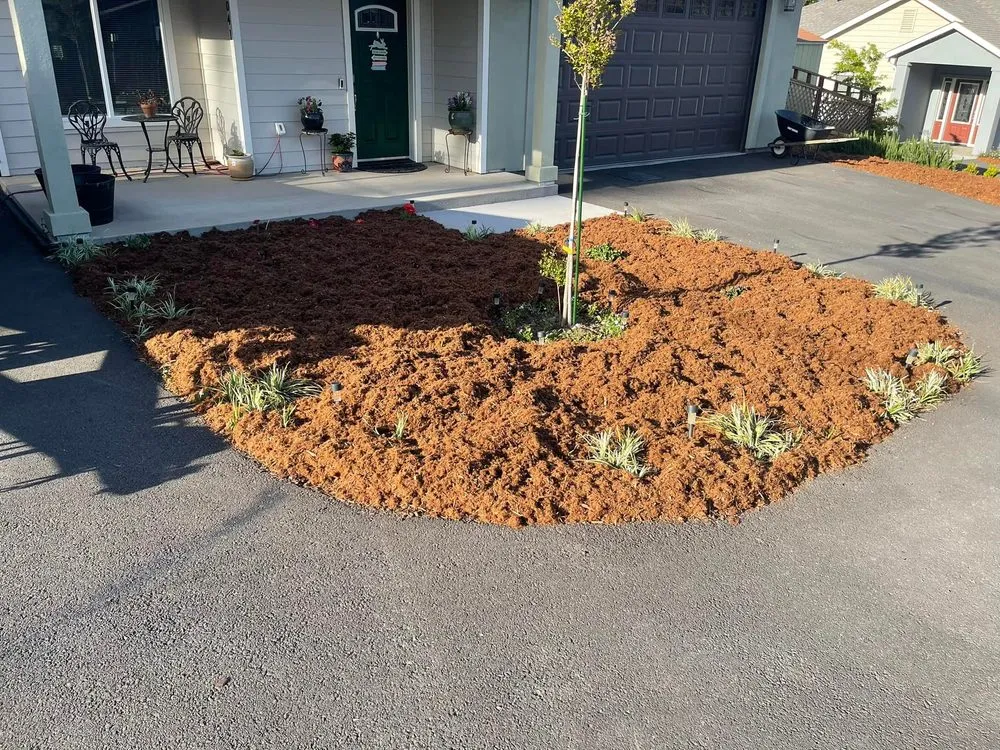 Custom yard cleanup service experts serving Ukiah, CA - Fern's Junk Removal & More