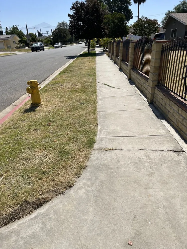 Custom residential landscaping experts serving Lake Elsinore, CA - Fern’s Landscaping