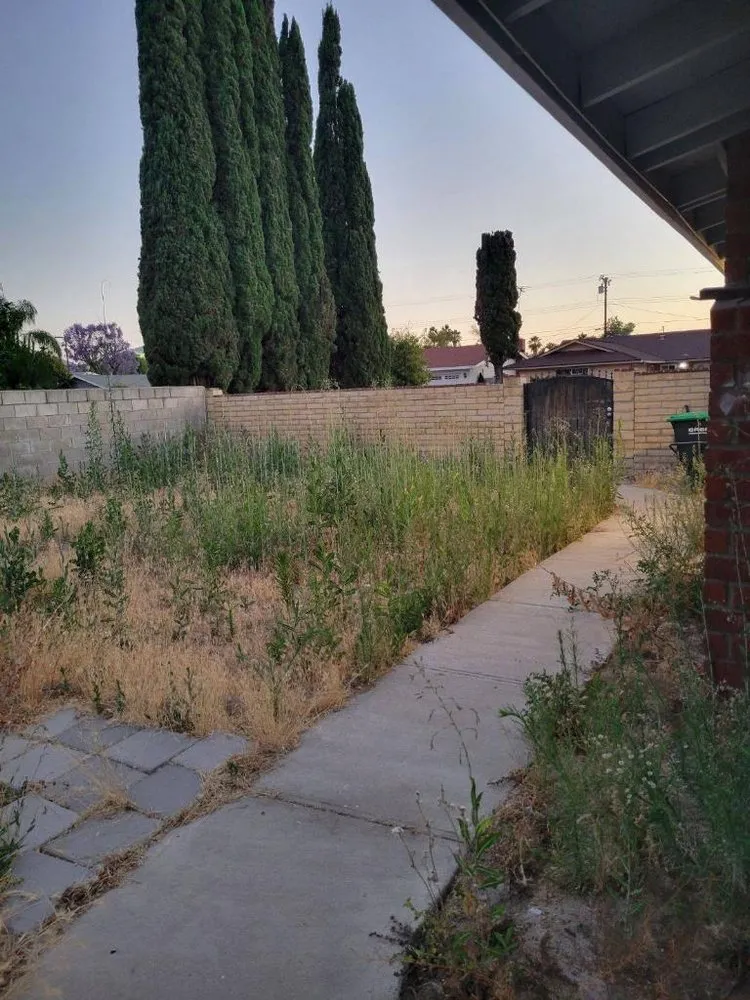 Affordable lawn mowing service in Lake Elsinore, CA - Fern’s Landscaping