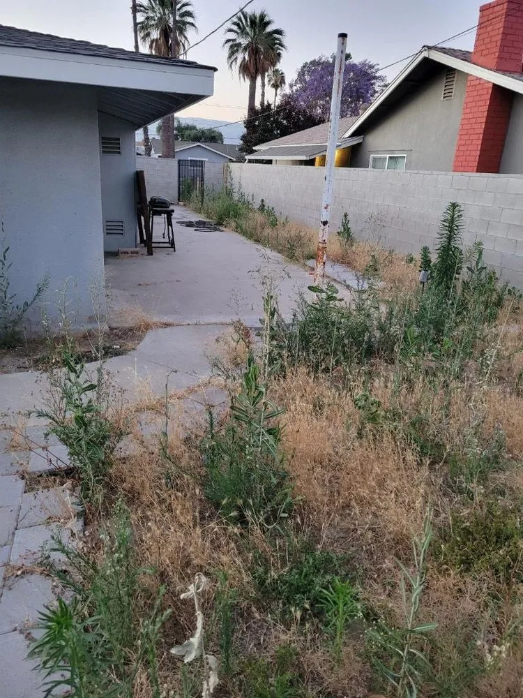 Professional landscaping services with custom design in Lake Elsinore, CA by Fern’s Landscaping