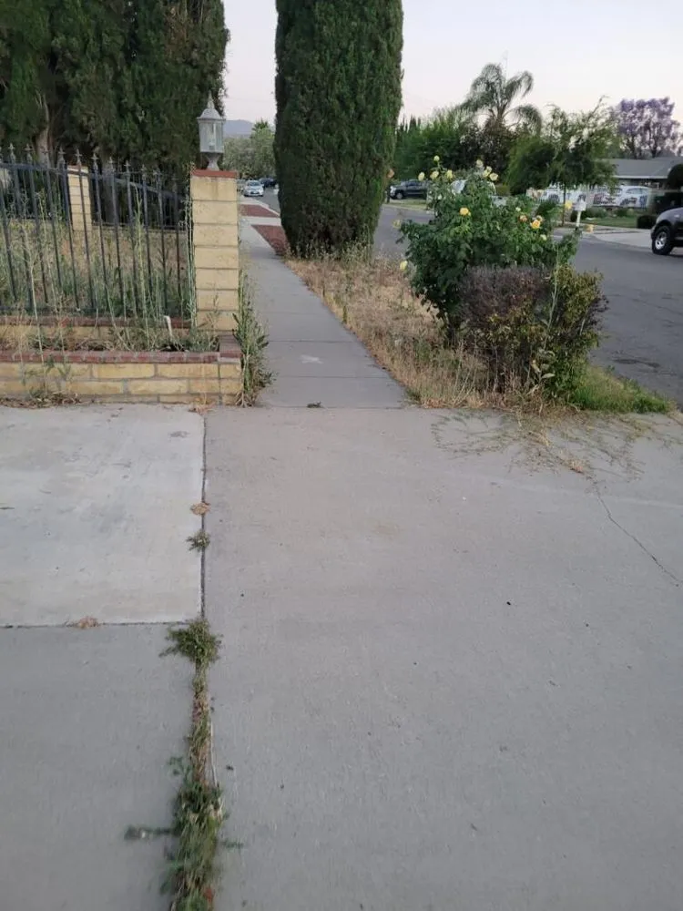 Expert outdoor landscaping for homes across Lake Elsinore, CA - Fern’s Landscaping