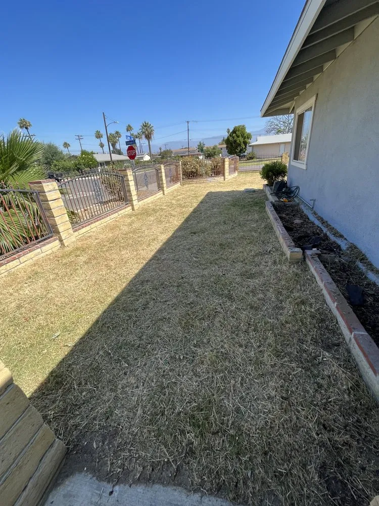 Expert landscape design experts serving Lake Elsinore, CA - Fern’s Landscaping