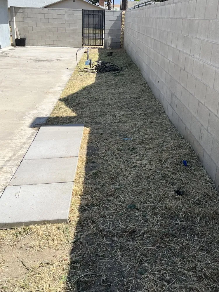 Professional landscape design for beautiful yards across Lake Elsinore, CA - Fern’s Landscaping