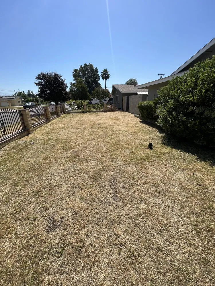 Trusted lawn mowing service experts serving Lake Elsinore, CA - Fern’s Landscaping