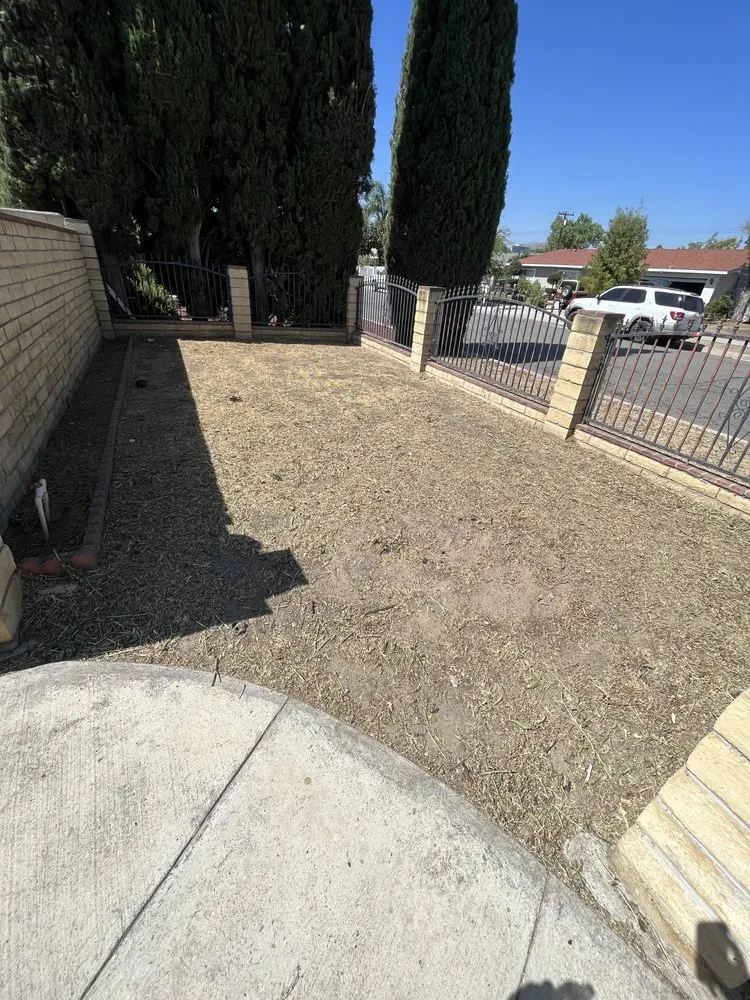 Expert landscaping services experts serving Lake Elsinore, CA - Fern’s Landscaping