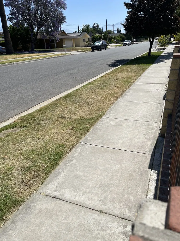 Affordable outdoor landscaping in Lake Elsinore, CA - Fern’s Landscaping