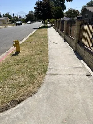 Fern’s Landscaping Logo