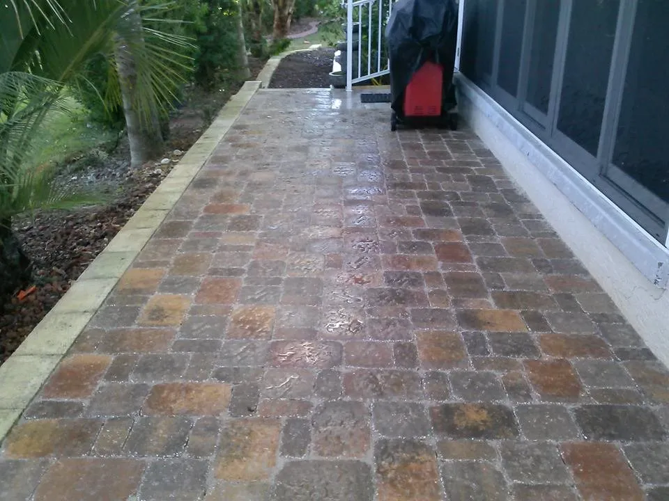 Custom landscape installation for year-round maintenance across Summerfield, FL - Fernview Farm