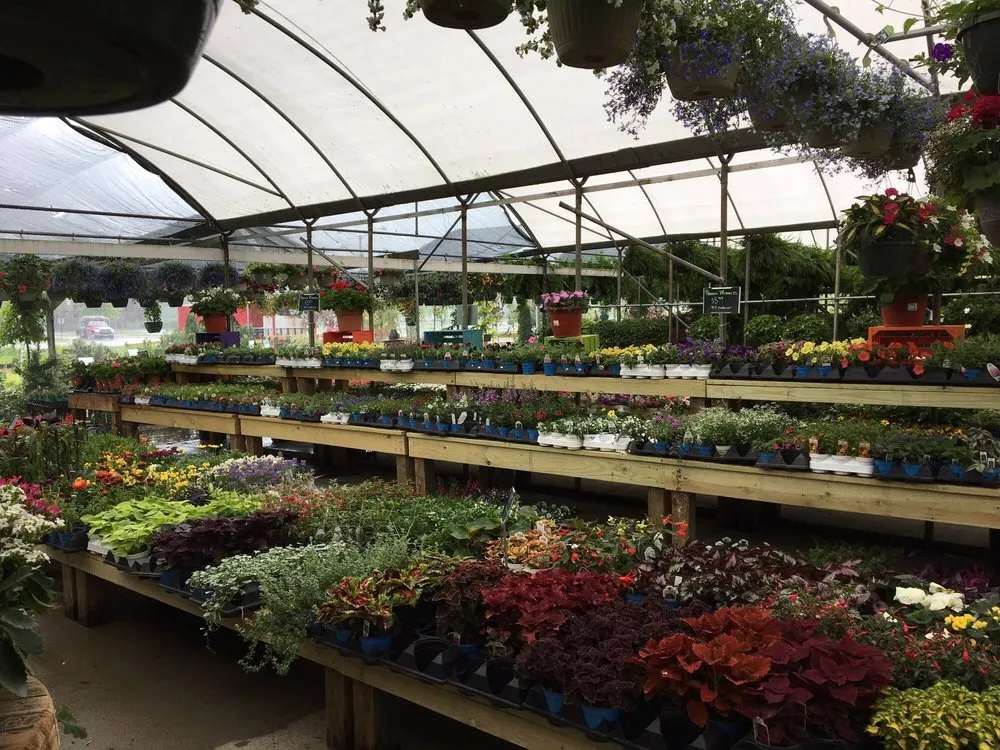 Expert landscape design in Columbia, TN - Fernwood Garden Center