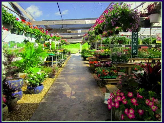 Custom residential landscaping for residential properties in Columbia, TN by Fernwood Garden Center