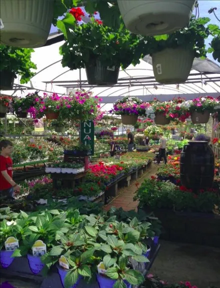 Expert landscaping services experts serving Columbia, TN - Fernwood Garden Center