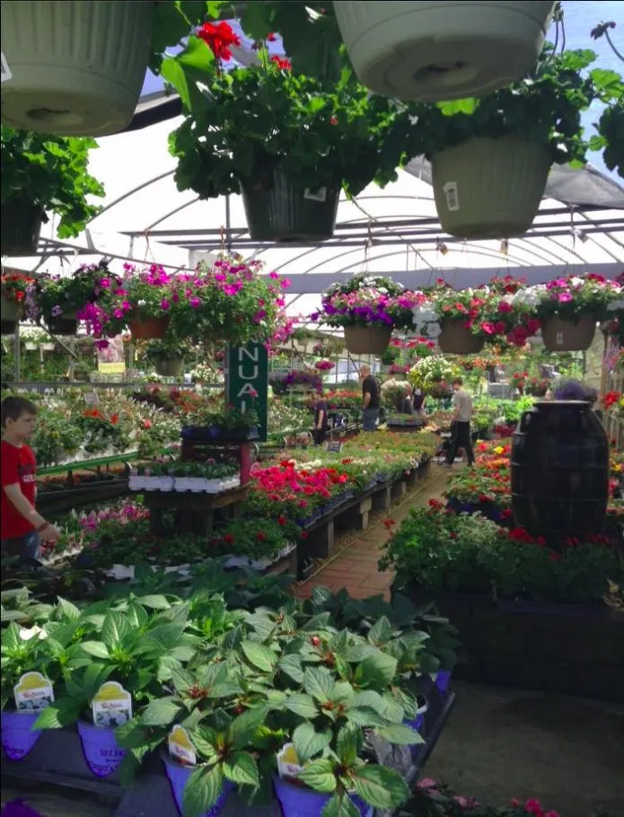 Trusted yard cleanup service with custom design across Columbia, TN - Fernwood Garden Center