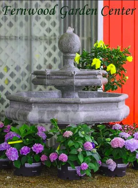 Expert yard cleanup service experts serving Columbia, TN - Fernwood Garden Center