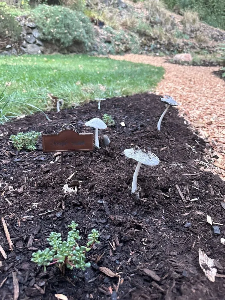 Custom outdoor landscaping in Lake Oswego, OR by Fernwood Landscapes