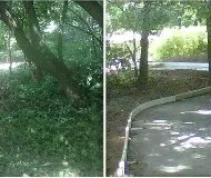 Professional lawn care service with custom design in Verona, PA by Ferraco Landscaping