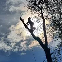 Reliable yard maintenance in Rockford, IL by Ferrals Family Landscaping & Tree Services