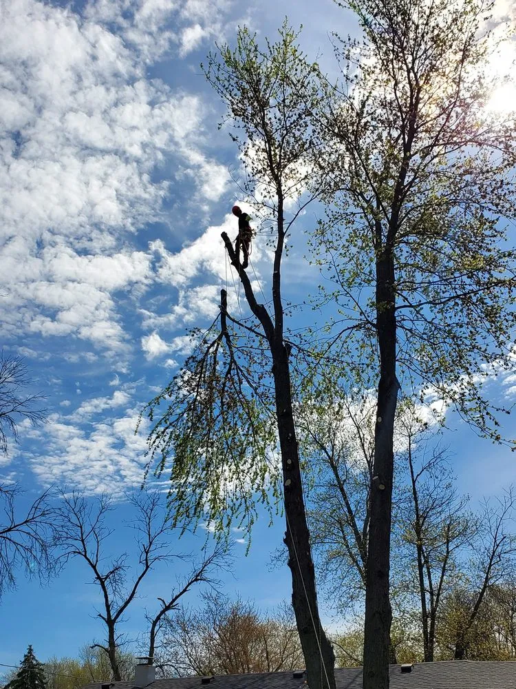 Local outdoor landscaping for outdoor upgrades across Rockford, IL - Ferrals Family Landscaping & Tree Services