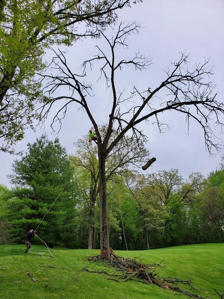 Trusted yard maintenance in Rockford, IL by Ferrals Family Landscaping & Tree Services