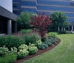 Reliable landscape design in Norristown, PA - Ferrandino & Son