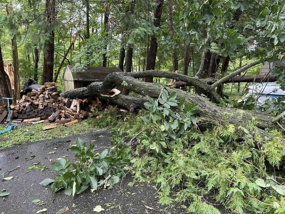 Trusted yard cleanup service with custom design in Ridgefield, CT by Ferrandino Enterprises