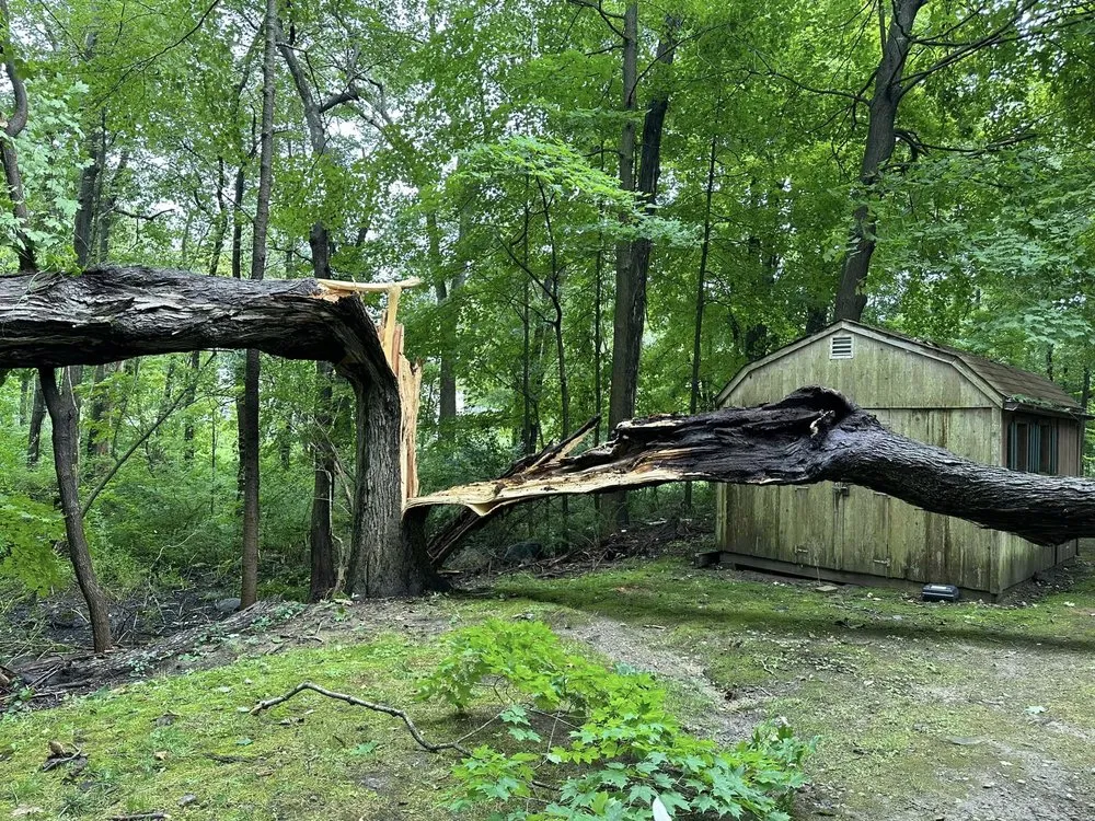 Top-rated landscaping services experts serving Ridgefield, CT - Ferrandino Enterprises