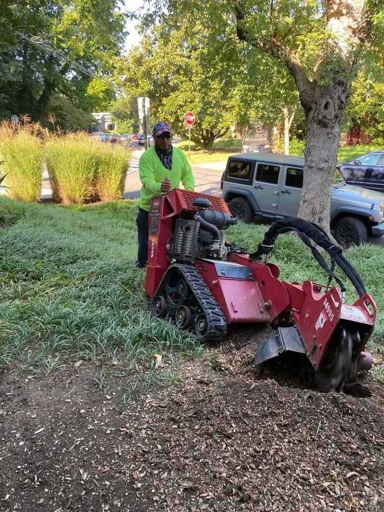 Reliable yard cleanup service experts serving Montgomery Village, MD - Ferrans Landscaping