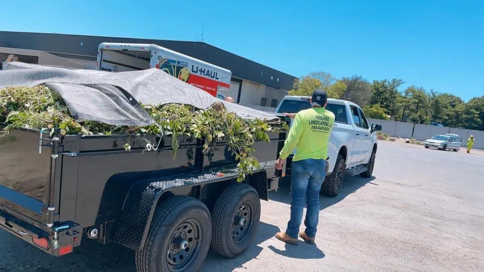 Expert lawn mowing service in Montgomery Village, MD by Ferrans Landscaping