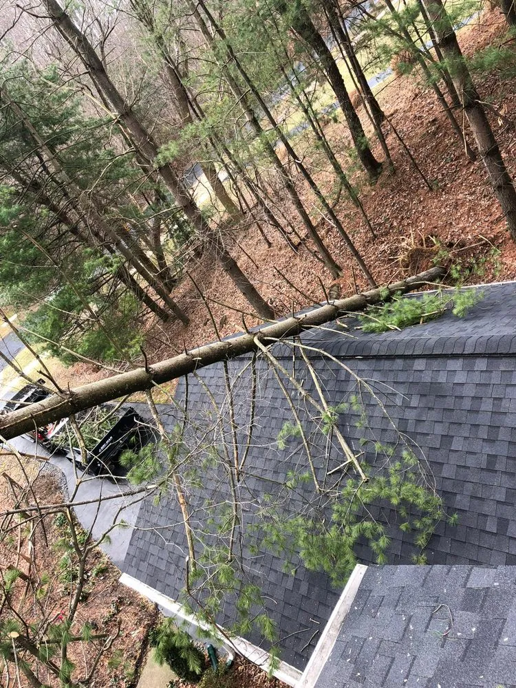 Trusted outdoor landscaping in Montgomery Village, MD - Ferrans Landscaping