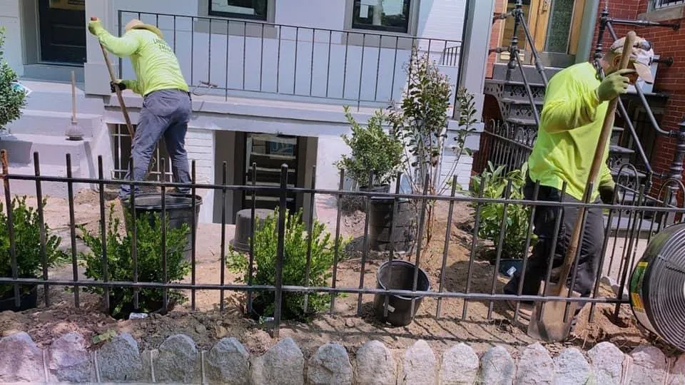 Expert yard maintenance for beautiful yards across Montgomery Village, MD - Ferrans Landscaping