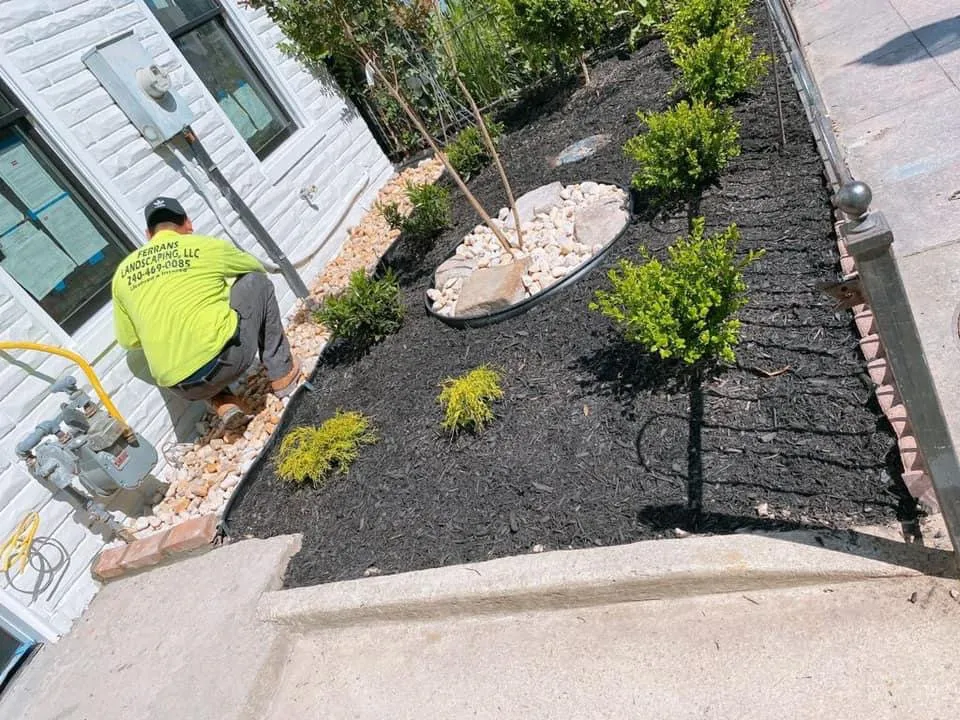 Professional yard maintenance for outdoor upgrades across Montgomery Village, MD - Ferrans Landscaping