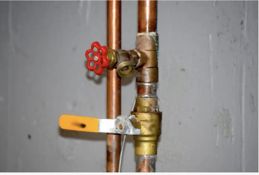 Reliable yard cleanup service in Williamsburg, VA - Ferrans Plumbing and Landscaping