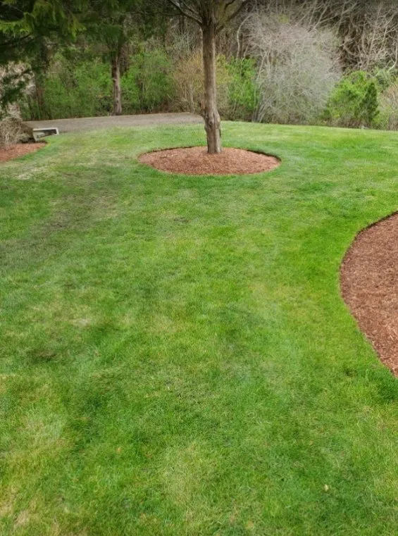 Expert outdoor landscaping in Lynn, MA by Ferrari Landscaping