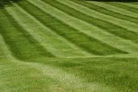 Custom yard cleanup service in Littleton, CO - Ferraro Lawn & Landscape