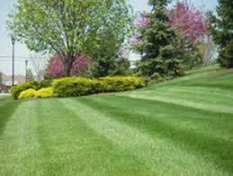 Trusted yard cleanup service for beautiful yards across Littleton, CO - Ferraro Lawn & Landscape