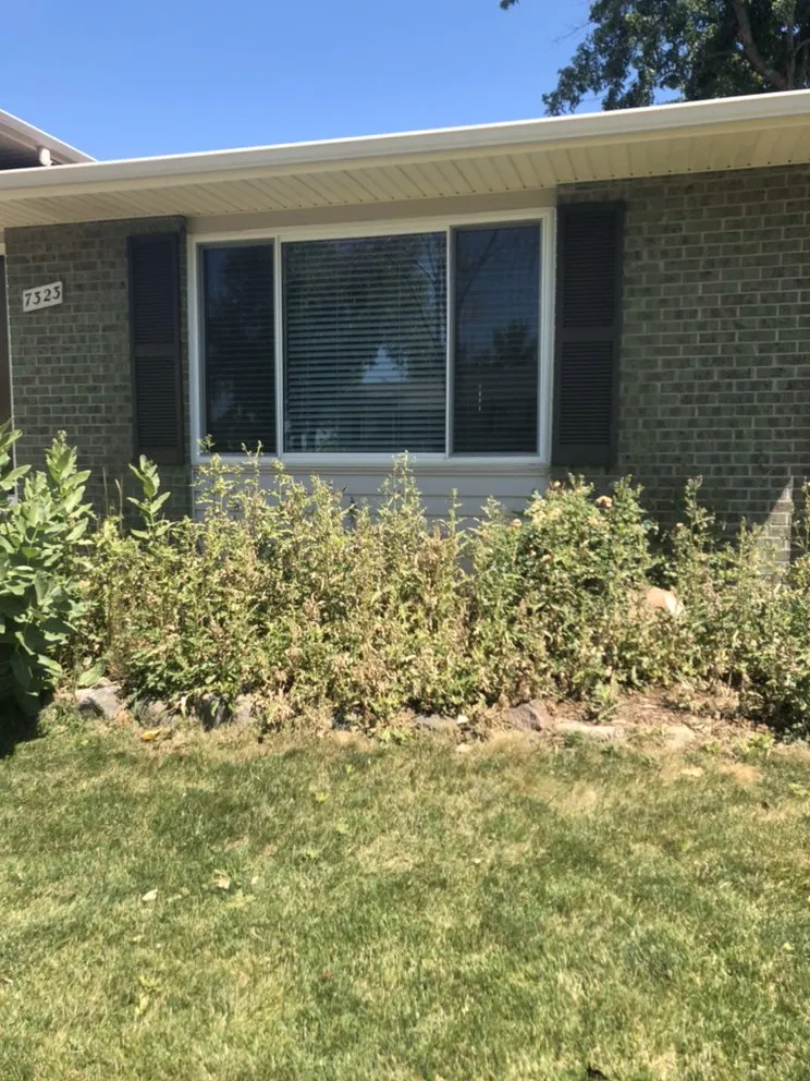 Affordable outdoor landscaping near you in Littleton, CO by Ferraro Lawn & Landscape