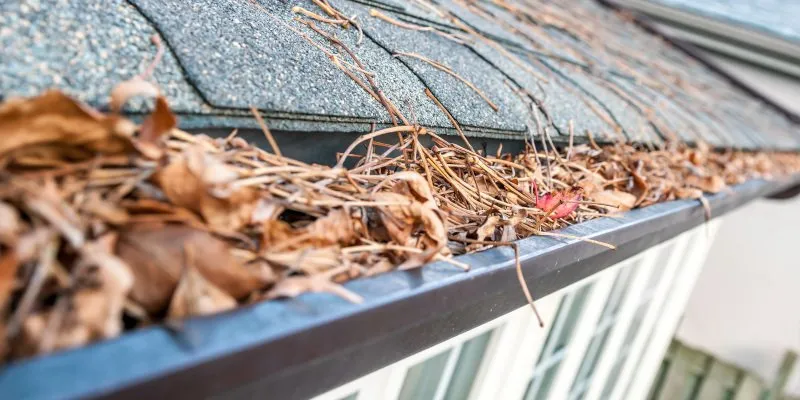 Expert residential landscaping in Newton, MA by Ferre Landscaping & Exterior Management