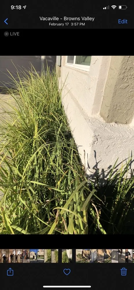 Trusted garden landscaping in Vacaville, CA by Ferreira's Landscape Maintenance