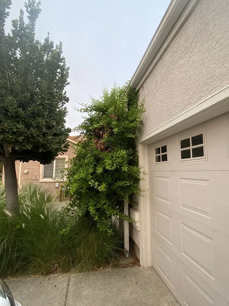 Professional lawn care service for residential properties in Vacaville, CA by Ferreira's Landscape Maintenance