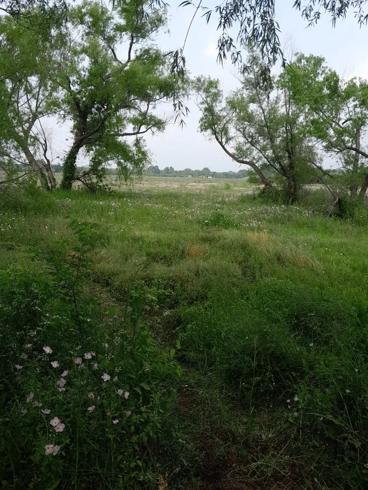 Affordable yard maintenance experts serving Kaufman, TX - Ferrero Lawn Care