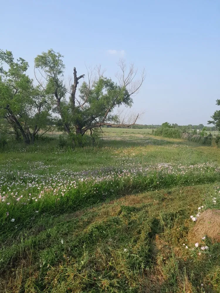 Trusted yard cleanup service for homes across Kaufman, TX - Ferrero Lawn Care