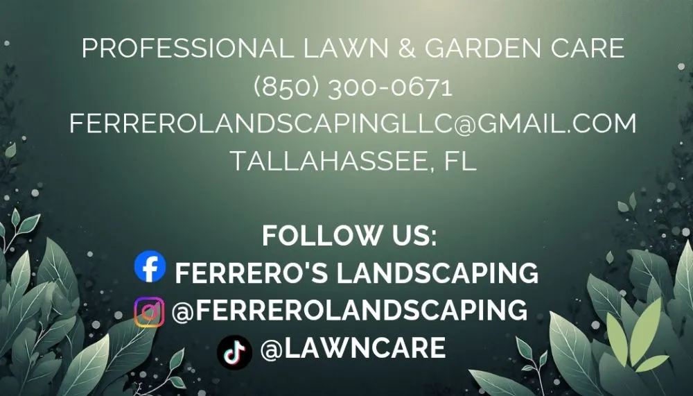 Affordable yard cleanup service experts serving Quincy, FL - Ferrero's Landscaping