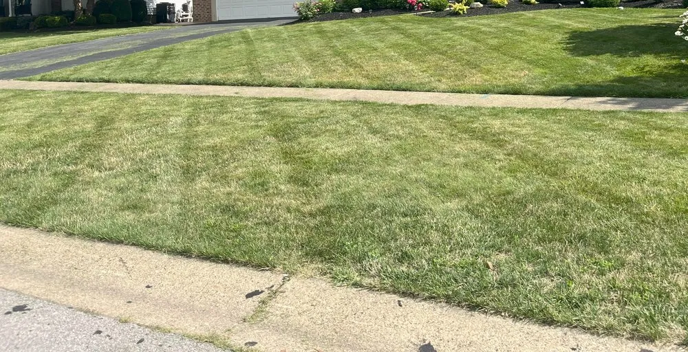 Custom garden landscaping for homes across Hamburg, NY - Ferris Lawns & Landscaping