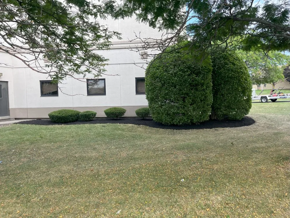 Local yard cleanup service in Hamburg, NY by Ferris Lawns & Landscaping